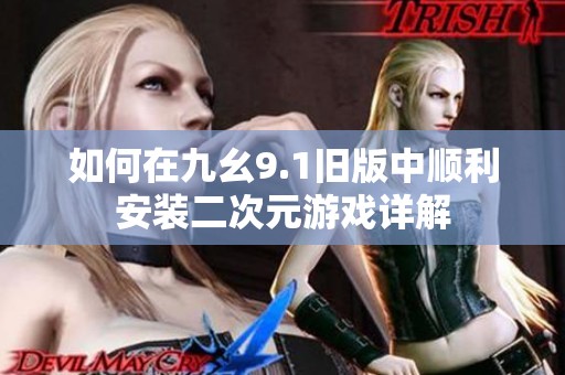 如何在九幺9.1旧版中顺利安装二次元游戏详解