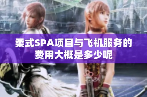 柔式SPA项目与飞机服务的费用大概是多少呢