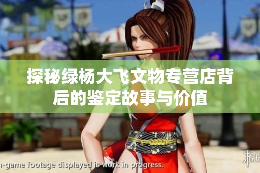 探秘绿杨大飞文物专营店背后的鉴定故事与价值