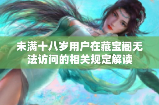 未满十八岁用户在藏宝阁无法访问的相关规定解读