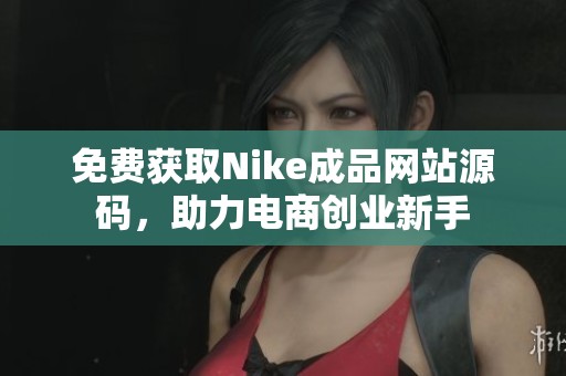 免费获取Nike成品网站源码，助力电商创业新手