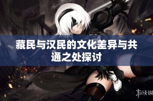 藏民与汉民的文化差异与共通之处探讨