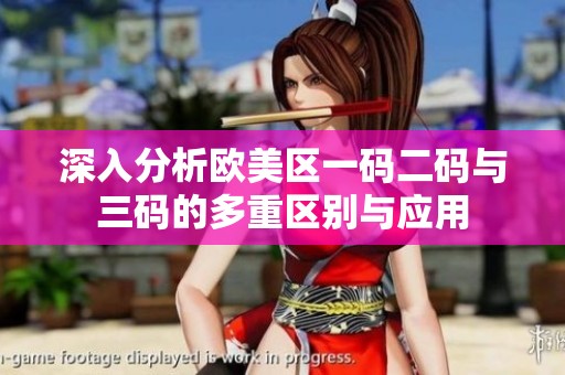 深入分析欧美区一码二码与三码的多重区别与应用