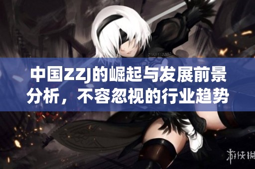 中国ZZJ的崛起与发展前景分析，不容忽视的行业趋势及影响