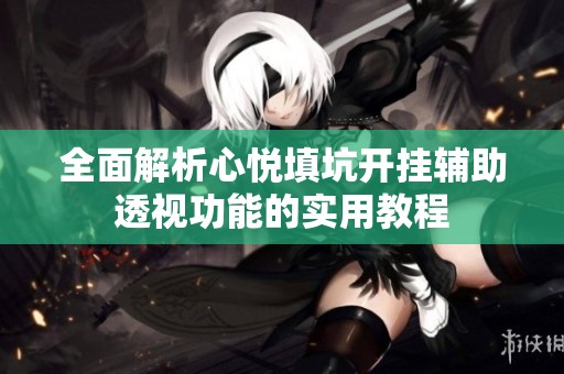 全面解析心悦填坑开挂辅助透视功能的实用教程