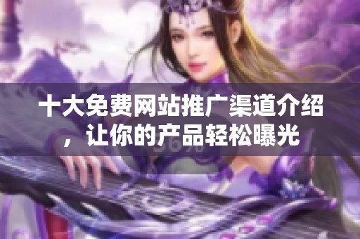 十大免费网站推广渠道介绍，让你的产品轻松曝光
