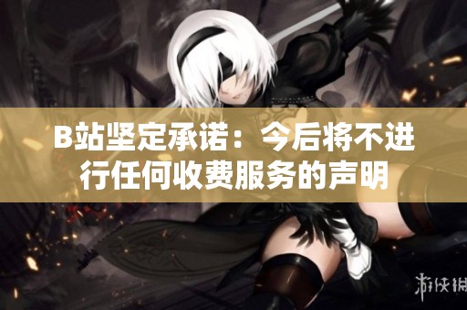 B站坚定承诺：今后将不进行任何收费服务的声明