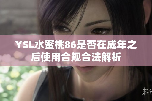 YSL水蜜桃86是否在成年之后使用合规合法解析