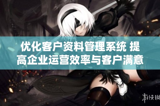 优化客户资料管理系统 提高企业运营效率与客户满意度