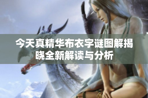 今天真精华布衣字谜图解揭晓全新解读与分析