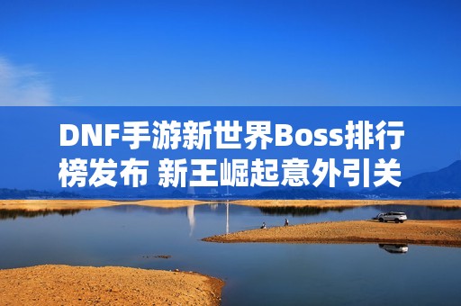 DNF手游新世界Boss排行榜发布 新王崛起意外引关注