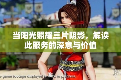 当阳光照耀三片阴影，解读此服务的深意与价值