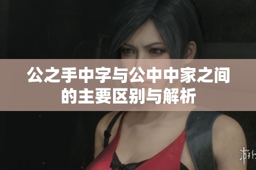 公之手中字与公中中家之间的主要区别与解析