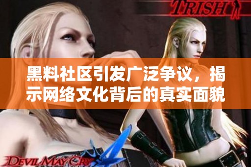黑料社区引发广泛争议，揭示网络文化背后的真实面貌