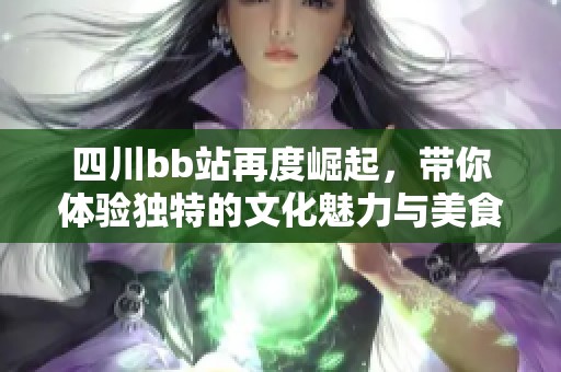 四川bb站再度崛起，带你体验独特的文化魅力与美食之旅