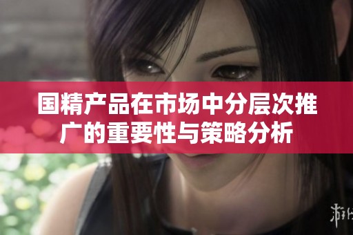 国精产品在市场中分层次推广的重要性与策略分析