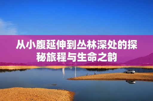 从小腹延伸到丛林深处的探秘旅程与生命之韵