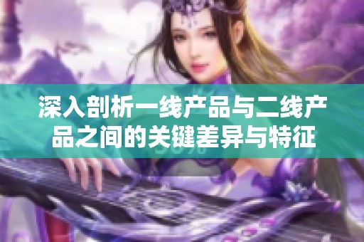 深入剖析一线产品与二线产品之间的关键差异与特征