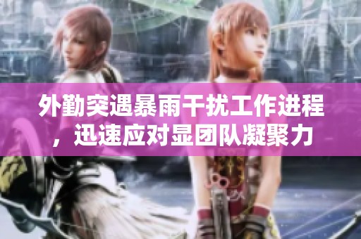 外勤突遇暴雨干扰工作进程，迅速应对显团队凝聚力