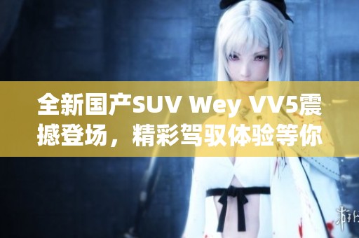 全新国产SUV Wey VV5震撼登场，精彩驾驭体验等你来试驾