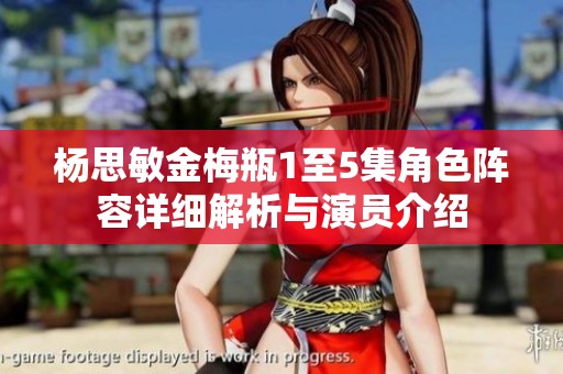 杨思敏金梅瓶1至5集角色阵容详细解析与演员介绍