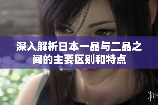 深入解析日本一品与二品之间的主要区别和特点