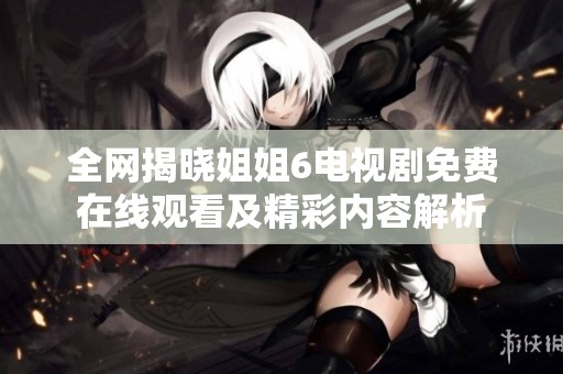 全网揭晓姐姐6电视剧免费在线观看及精彩内容解析