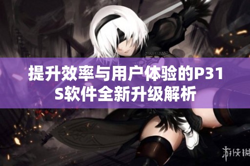 提升效率与用户体验的P31S软件全新升级解析