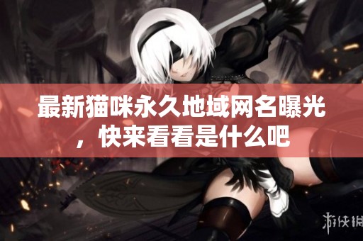 最新猫咪永久地域网名曝光，快来看看是什么吧