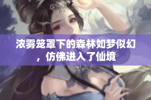 浓雾笼罩下的森林如梦似幻，仿佛进入了仙境