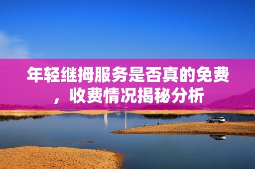 年轻继拇服务是否真的免费，收费情况揭秘分析