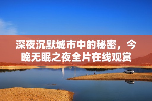 深夜沉默城市中的秘密，今晚无眠之夜全片在线观赏