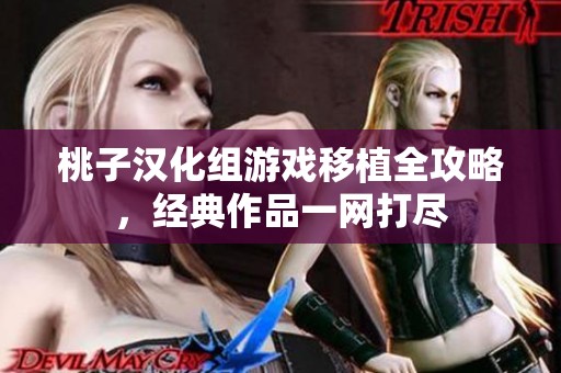 桃子汉化组游戏移植全攻略，经典作品一网打尽