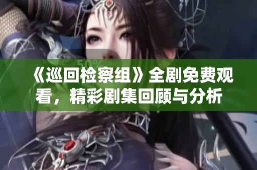 《巡回检察组》全剧免费观看，精彩剧集回顾与分析