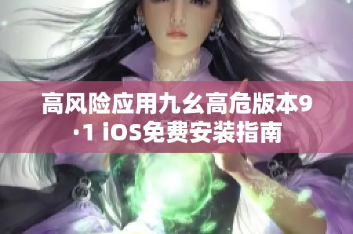 高风险应用九幺高危版本9·1 iOS免费安装指南