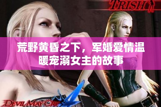 荒野黄昏之下，军婚爱情温暖宠溺女主的故事