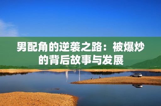 男配角的逆袭之路：被爆炒的背后故事与发展