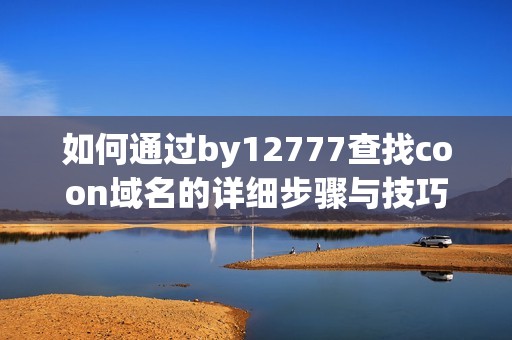 如何通过by12777查找coon域名的详细步骤与技巧