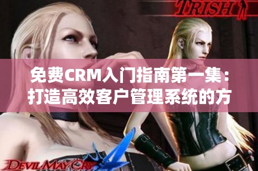 免费CRM入门指南第一集：打造高效客户管理系统的方法与技巧