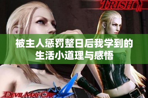 被主人惩罚整日后我学到的生活小道理与感悟