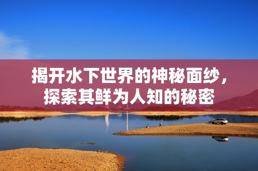 揭开水下世界的神秘面纱，探索其鲜为人知的秘密