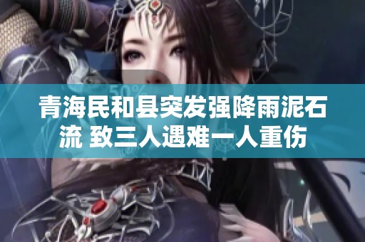 青海民和县突发强降雨泥石流 致三人遇难一人重伤