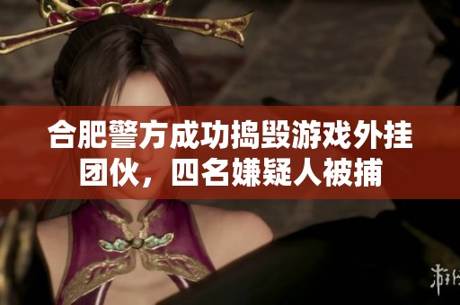 合肥警方成功捣毁游戏外挂团伙，四名嫌疑人被捕