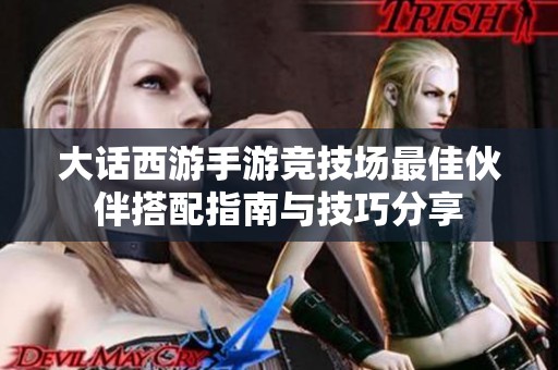 大话西游手游竞技场最佳伙伴搭配指南与技巧分享