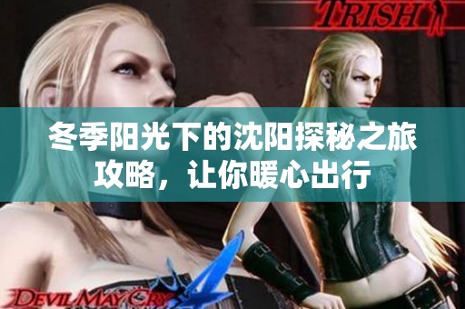 冬季阳光下的沈阳探秘之旅攻略，让你暖心出行