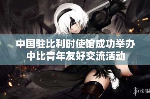 中国驻比利时使馆成功举办中比青年友好交流活动
