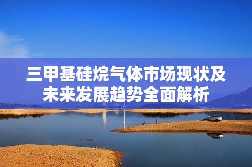 三甲基硅烷气体市场现状及未来发展趋势全面解析
