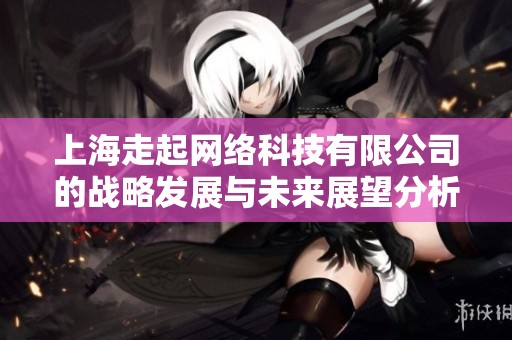 上海走起网络科技有限公司的战略发展与未来展望分析