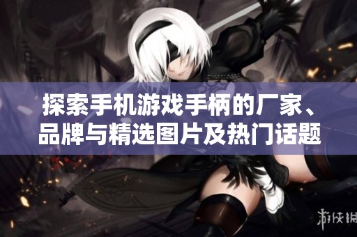 探索手机游戏手柄的厂家、品牌与精选图片及热门话题