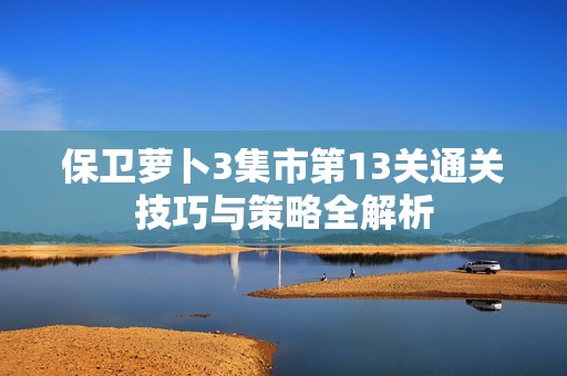 保卫萝卜3集市第13关通关技巧与策略全解析